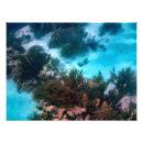 Search for coral reef art Marine