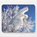 Search for snowy mousepads Owl