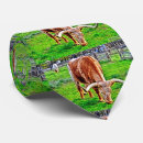 Search for ranch ties Texas