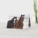 Search for colts cards Snow