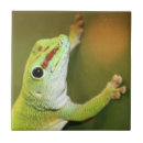 Search for gecko tiles Green
