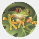 Search for frog eyes stickers Amphibian