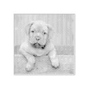 Search for photo rubber stamps Dog