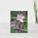 Search for apple blossom birthday cards Nature