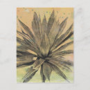 Search for tropical greenery postcards Coastal