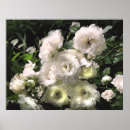 Search for cane art Flowers
