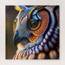 Search for owl puzzles Nature