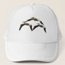 Search for fly hats Sky