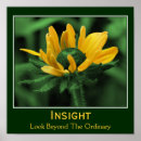 Search for insight Inspirational