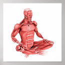 Search for medical illustration posters Leg