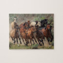 Search for galloping photography Cowboy