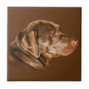 Search for labrador tiles Pets
