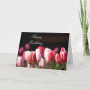 Search for red tulip cards Red and white