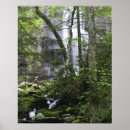 Search for hikers posters Forest
