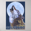 Search for grey wolf posters Howling