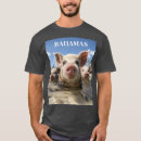 Search for swimming pig Bahamas swimming pigs