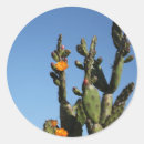 Search for pear wedding stickers Desert