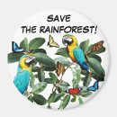 Search for rainforest magnets Trees