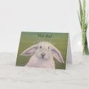 Search for white bunny Sweet