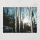 Search for icicle postcards Snow