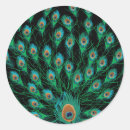 Search for black feather stickers Background