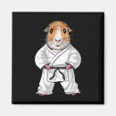 Search for taekwondo magnets Judo