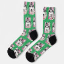 Search for green socks Cat