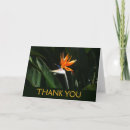Search for eden cards Flower