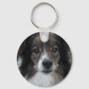 Search for sheltie rounded key rings Sheepdog
