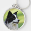 Search for border collie dog key rings Photography