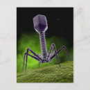 Search for molecular postcards 3d