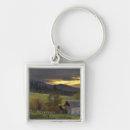 Search for log key rings Landscape
