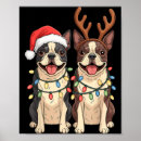 Search for boston terrier quotes Santa