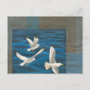 Search for flying bird postcards Seagull