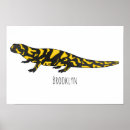 Search for salamander posters Reptile
