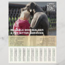 Search for sitter flyers Veterinary