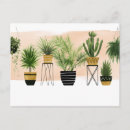Search for indoor postcards Pam tree