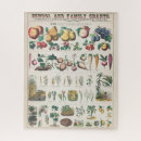 Search for vegetables puzzles Plants