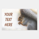 Search for big nuts stickers Squirrel
