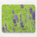 Search for lavendar electronics Green
