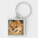 Search for beloved key rings Dog