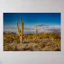 Search for cactus posters Southwest