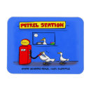 Search for gull magnets Animal
