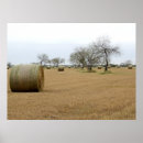 Search for hay posters Harvest