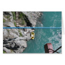 Search for new zealand kiwi cards Funny