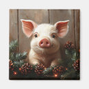 Search for pine cone magnets Winter