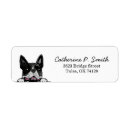 Search for boston terrier return address labels Pet