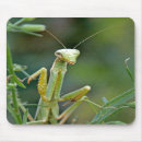 Search for mantis mousepads Green