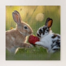 Search for rabbit puzzles Baby