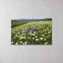 Search for environment canvas prints Lake